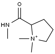 858419-71-3 Pyrrolidinium,  1,1-dimethyl-2-[(methylamino)carbonyl]-