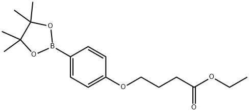 4-[4-(4,4,5,5-TETRAMETHYL-[1,3,2]DIOXABOROLAN-2-YL)-PHENOXY]-BUTYRIC ACID ETHYL ESTER Structure