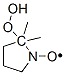 5,5-dimethyl-5-hydroperoxy-1-pyrrolidinyloxy Structure