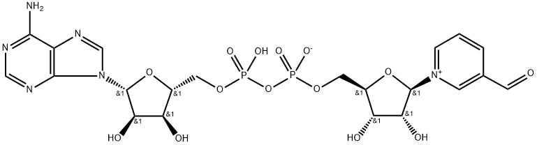 3-피리딘알데히드아데닌이뉴클레오티드