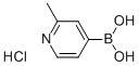 2-METHYL-4-PYRIDINEBORIC ACID HCL