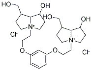 DIPLACINE Structure