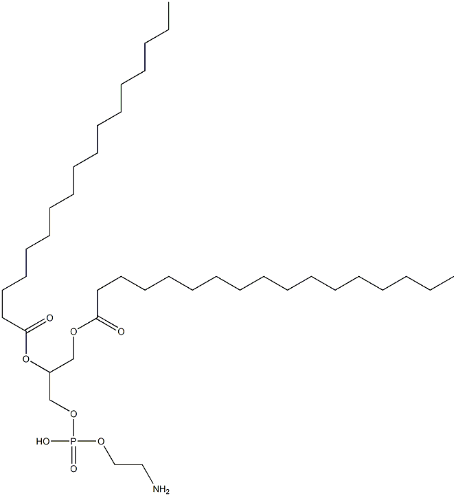 1,2-DIHEPTADECANOYL-SN-GLYCERO-3-PHOSPHOETHANOLAMINE Struktur