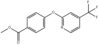 869109-13-7 Methyl4-{[4-(trifluoromethyl)pyridin-2-yl]oxy}benzoate