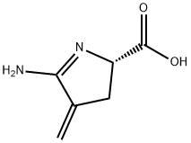 2H-Pyrrole-2-carboxylic  acid,  5-amino-3,4-dihydro-4-methylene-,  (2S)- 化学構造式