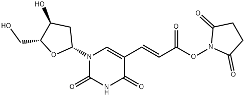2'-脱氧-5-[(1E)-3-[(2,5-二氧代-1-吡咯烷基)氧基]-3-氧代-1-丙烯基]尿苷,869355-24-8,结构式