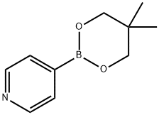 PYRIDINE-4-BORONIC ACID, NEOPENTYL ESTER,869901-52-0,结构式
