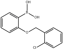 870777-21-2 2-(2'-氯苄氧基)苯基硼酸