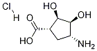 (1S,2R,3S,4R)-4-aMino-2,3-dihydroxycyclopentanecarboxylic acid hydrochloride Structure