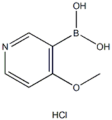 4-甲氧基吡啶-3-硼酸盐酸盐,874959-97-4,结构式