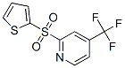 PYRIDINE, 2-(2-THIENYLSULFONYL)-4-(TRIFLUOROMETHYL)-|