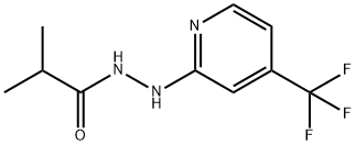 PROPANOIC ACID, 2-METHYL-, 2-[4-(TRIFLUOROMETHYL)-2-PYRIDINYL]HYDRAZIDE Struktur