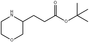 TERT-부틸3-MORPHOLIN-3-YL-프로피오네이트