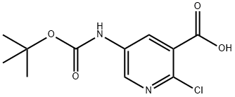 5-TERT-부톡시카르보니아미노-2-클로로-니코틴산