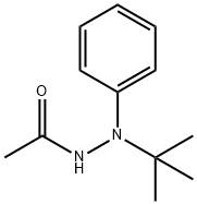 N'-TERT-BUTYL-N'-PHENYLACETOHYDRAZIDE 化学構造式