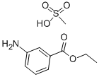 Tricaine methanesulfonate