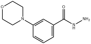 3-(4-Morpholinyl)benzoic Acid Hydrazide,886494-35-5,结构式