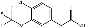 4-氯-3-三氟甲氧基苯基乙酸,886501-02-6,结构式