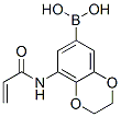 Boronic  acid,  [2,3-dihydro-8-[(1-oxo-2-propenyl)amino]-1,4-benzodioxin-6-yl]-  (9CI) 结构式