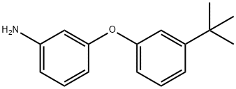 3-(3-TERT-BUTYL-PHENOXY)-PHENYLAMINE Structure