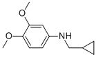 887588-08-1 N-(环丙基甲基)-3,4-二甲氧基苯胺