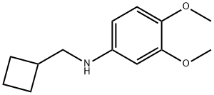 N-(环丁基甲基)-3,4-二甲氧基苯胺 结构式