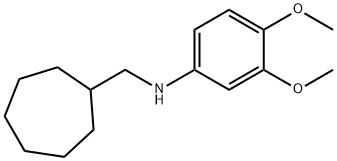 CYCLOHEPTYLMETHYL-(3,4-DIMETHOXY-PHENYL)-AMINE,887589-94-8,结构式
