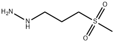 (3-METHYLSULFONYL-PROPYL)-HYDRAZINE Struktur