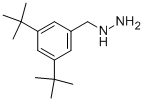 (3,5-DI-TERT-BUTYL-BENZYL)-HYDRAZINE 化学構造式