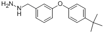 3-(4-TERT-BUTYL-PHENOXY)-BENZYL-HYDRAZINE Structure