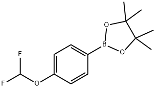 4-Difluoromethoxyphenylboronic acid pinacol ester