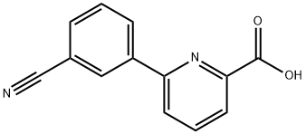 6-(2-Acetylaminophenyl)-picolinic acid Structure