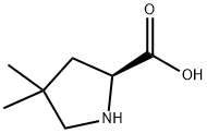 (S)-4,4-DIMETHYL-PYRROLIDINE-2-CARBOXYLIC ACID Structure