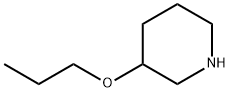3-PROPOXY-피페리딘
