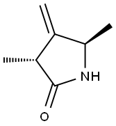 2-Pyrrolidinone,3,5-dimethyl-4-methylene-,trans-(9CI) Struktur