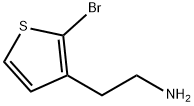 2-(2-bromothiophen-3-yl)ethanamine
 Structure