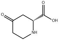 (R)-4-옥소피페리딘-2-카르복실산