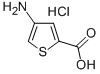 2-Thiophenecarboxylic acid, 4-amino-, hydrochloride|4-氨基-2-噻吩羧酸盐酸盐