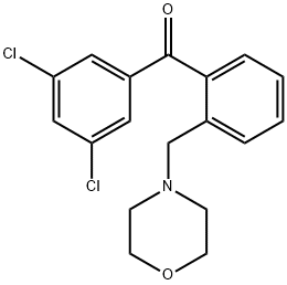 898751-09-2 3',5'-ジクロロ-2-モルホリノメチルベンゾフェノン