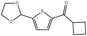 シクロブチル5-(1,3-ジオキソラン-2-イル)-2-チエニルケトン 化学構造式