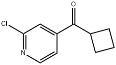 (2-CHLORO-PYRIDIN-4-YL)-CYCLOBUTYL-METHANONE 化学構造式