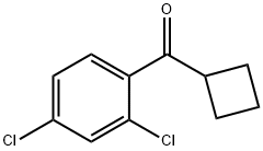 CYCLOBUTYL 2,4-DICHLOROPHENYL KETONE