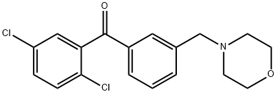 2,5-DICHLORO-3'-MORPHOLINOMETHYL BENZOPHENONE