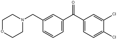 3,4-DICHLORO-3'-MORPHOLINOMETHYL BENZOPHENONE Struktur