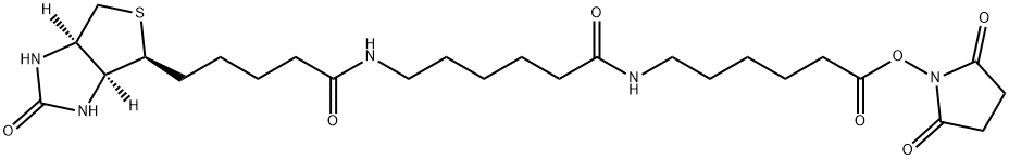 BIOTIN-XX-NHS Structure