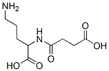 5-amino-2-(3-carboxypropanoylamino)pentanoic acid Structure