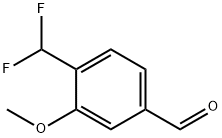 4-(DIFLUOROMETHYL)-3-METHOXYBENZALDEHYDE|4-(二氟甲基)-3-甲氧基苯甲醛