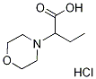 2-Morpholin-4-yl-butyric acid hydrochloride|