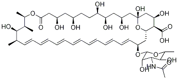 N-ACETYL AMPHOTERICIN B (〜75%) 化学構造式