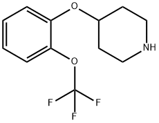 4-(2-TRIFLUOROMETHOXY-PHENOXY)-PIPERIDINE